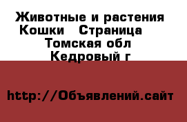 Животные и растения Кошки - Страница 2 . Томская обл.,Кедровый г.